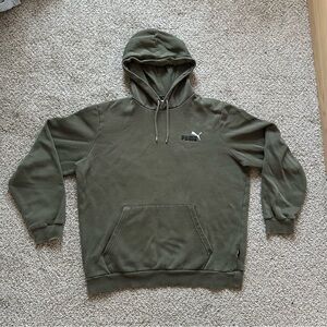 🐉 Puma • Green Hoodie